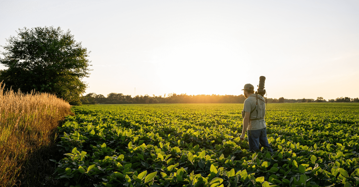 Featured Image for Top 10 Ways to Enjoy Your Land in the Summer
